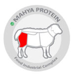 قالب فروشگاهی ایرانی بقال